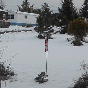 Meet your Posher, Joseph